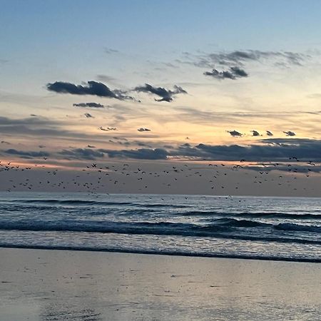 Chambre D Hote A La Plage De 15 M2 Le Manapany カミエ エクステリア 写真
